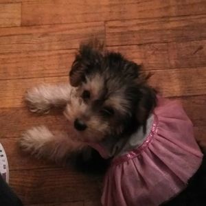 Meet your Posher, Nicole